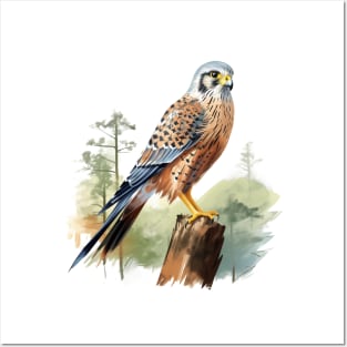 Kestrel Posters and Art